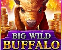 Big Wild Buffalo